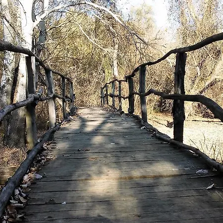 Janosi Vendeghaz Tiszafured